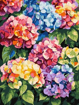 Картина за номерами Різнокольорові гортензії ©art_selena_ua 30x40 KHO3299 Ідейка