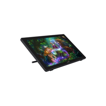 Планшет-монітор Huion Kamvas RDS-220 (RDS-220)