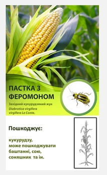 Феромонна пастка від західного кукурудзяного жука