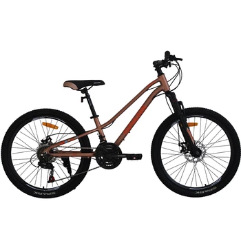 Велосипед SPARK ROAD 24`` ал11 ам бронзовый диск (м)