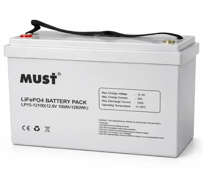 Литиевый аккумулятор 100 Ач 12 В Акумулятор MUST LiFePO4 LP1500-12100