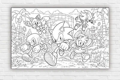 Бумажный плакат - раскраска "Соник. Sonic" размер 120х75см