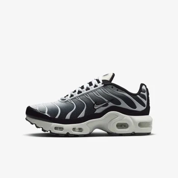 Кросівки TN Air Max Plus GS Black Metallic Cool Grey CD0609-026 38