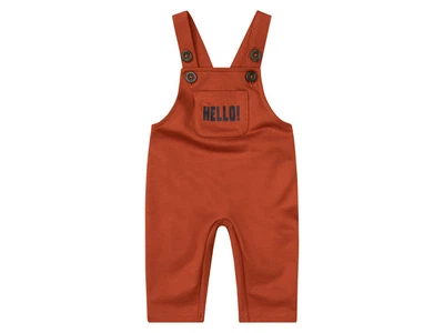 Напівкомбінезон з начосом для хлопчика Lupilu LIDL 381775 074 см (6-9 months) коричневий
