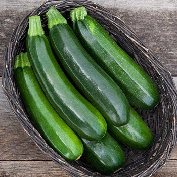 Кабачок цукіні Аеронавт (ранньостиглий) 20 г