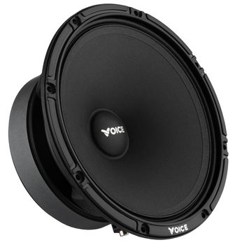 Эстрадная акустика Voice SP-60AX