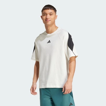 Мужская футболка Stadium adidas JX5640 (XS) белый (4068808697644)