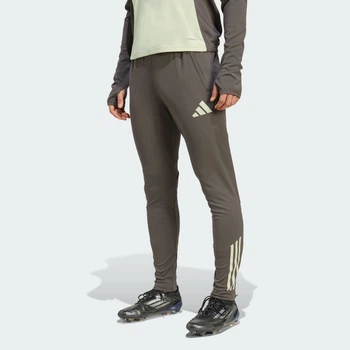 Мужские спортивные брюки Real Madrid Tiro 25 Competition adidas JP3983 (S) серый (4068807281950)