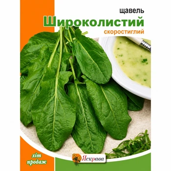 Щавель Широколистный (многолетний) 10 г
