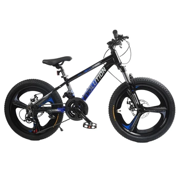 Велосипед Спортивный Corso «Evolution» 20" дюймов EV-20912