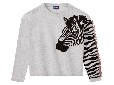 Джемпер хлопковый вязаный для девочки Lupilu LIDL 397541 098-104 см (2-4 years) Серый