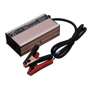 Зарядное устройство 24V (25.2V) 20А для 6S Li-ion аккумуляторов WATE