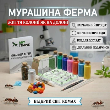 Муравьиная ферма стеклянная Формикарий для муравьев "Micro-Зелень" (16*9*5) Стартовый набор Messor structor Муравьиный дом
