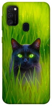 Чохол Demsky Cat in the grass для Samsung Galaxy M30s / M21