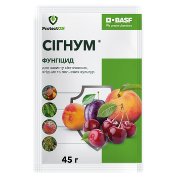 Фунгіцид ProtectON Сігнум, 45 гр