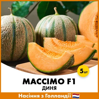 Диня Массімо F1, 5 шт, Насіння з Голландії