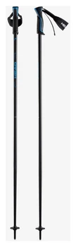 Палиці гірськолижні HEAD ( 381543 ) Frontside 2024 (724794647578)