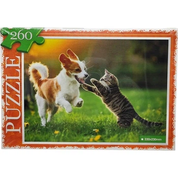 ПАЗЛИ 260 ЕЛЕМЕНТІВ "ДРУЗІ" Dankotoys (269837)