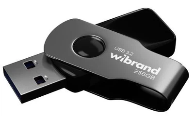 Флеш накопичувач USB 256Gb Wibrand Lizard, Black, USB 3.2 Gen 1 (WI3.2/LI256P9B)
