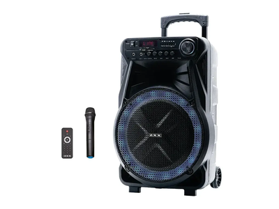Колонка с микрофоном ZXX-7171 / Акустическая переносная колонка 600Вт 12" 35х30х54см