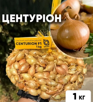 Цибуля сіянка Центуріон F1, 1 кг, Broer