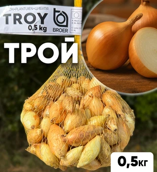 Цибуля сіянка Трой, 0.5 кг, Broer