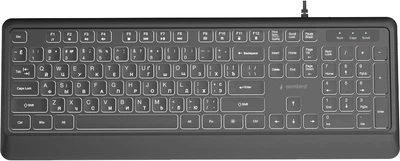 Клавіатура дротова Gembird Slim Multimedia White Backlight USB Black (KB-UML-04-CYRL)