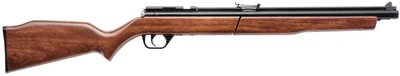 Гвинтівка пневматична Benjamin "Bolt Action Pump" (1001619)
