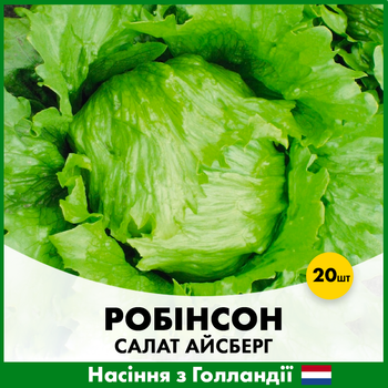 Голландские семена Hazera Салат айсберг Робинсон 20 шт