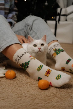 Шкарпетки Premier Socks: "То не я, вона сама", прикольні зимові шкарпетки, унісекс, 40-42