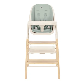 Стульчик для кормления 4в1 Carrello Ergo CRL-16701 Elora Green, шезлонг, обучающая башня