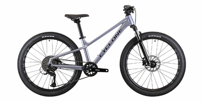 Велосипед CYCLONE DREAM 24 (2026) серый