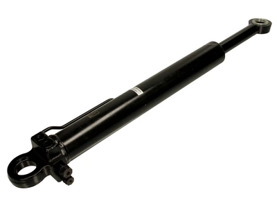 Цилиндр подъема кабины DT Spare Parts (1.22428)