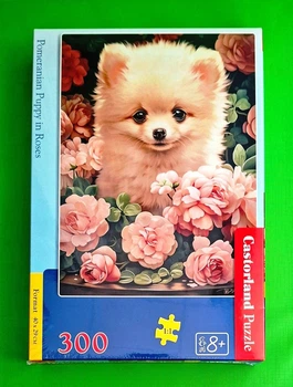 Пазли Castorland 300шт (030552) Цуценя шпіца в трояндах
