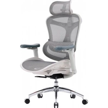 Офисное кресло Sihoo doro c300l Mesh White (doro-c300l-a3-102)