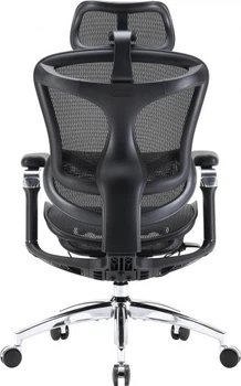 Кресло офисное Sihoo Doro c300 Pro Mesh Black (doro-c300-pro-m101)