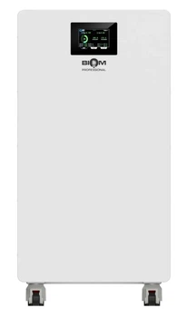 Аккумуляторная батарея Biom Professional 48В (51.2В) BALFP-512314-V2 16кВтч