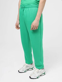 Джоггеры The North Face 8286703 Зелёный L N5598