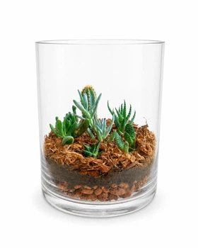 Эксклюзивный авторский флорариум Aqua-Tech Exclusive Florarium, FL001