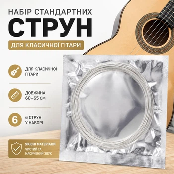 Набір стандартних струн для гри на класичній гітарі, 60-65 см, 6 шт, сріблясті (110034990)