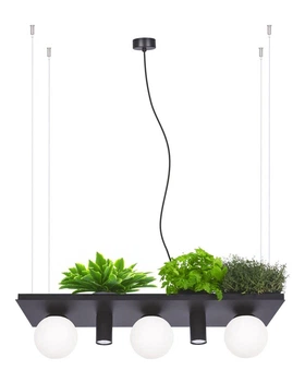 Люстра Zuma Line 5555 Plant Shelf E14+GU10 5x40W+10W IP20 черная