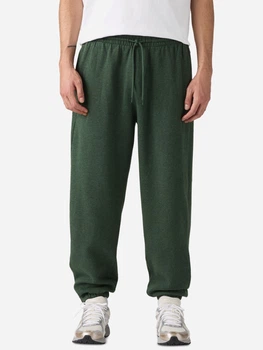 Спортивные штаны утепленные мужские Levi`s 908563413 S Зеленые (1159863286)