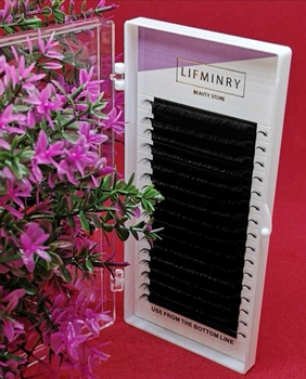 Вії для нарощування LIFMINRY Premium 0.10 D 15 мм