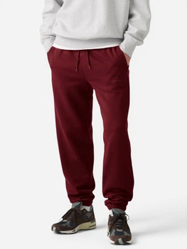 Спортивные штаны на флисе мужские Levi`s 199315923 L Бордовые (1159863445)