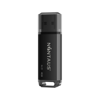 NINTAUS Bid USB Flash Drive 4GB USB2.0 Boxed Mini Ten Pack, Professional Business Bid USB Drive for Company Competitions And Environmental Protection N-22