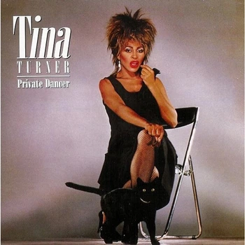 Вінілова платівка Tina Turner – Private Dancer (LP, Album, Reissue, Remastered, 180g, Vinyl) (825646120635)