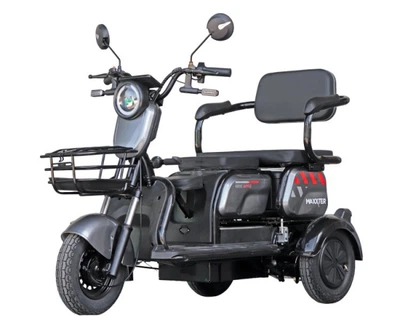 Електроскутер триколісний 1000 Вт, сірий Maxxter ant li (Gray)