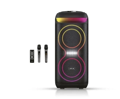 Акустична переносна колонка ZXX-5505 100Вт 2x6.5" 60х27х30 см TWS/FM/USB/TF/BT/REC/LED/2MIC/ДК