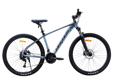 Велосипед Спортивный 29 дюймов Corso MAGNUS MG-188 оборудование Shimano алюминиевая рама 19 дюймов 27 скоростей. Grey (194600)