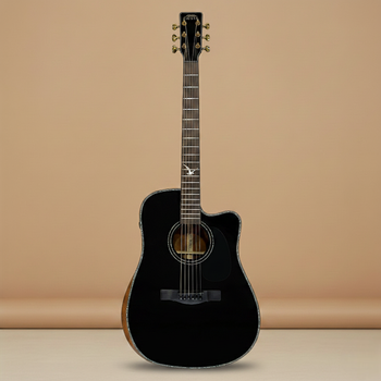 Акустическая гитара FIESTA D2 BK TransAcoustic с чехлом